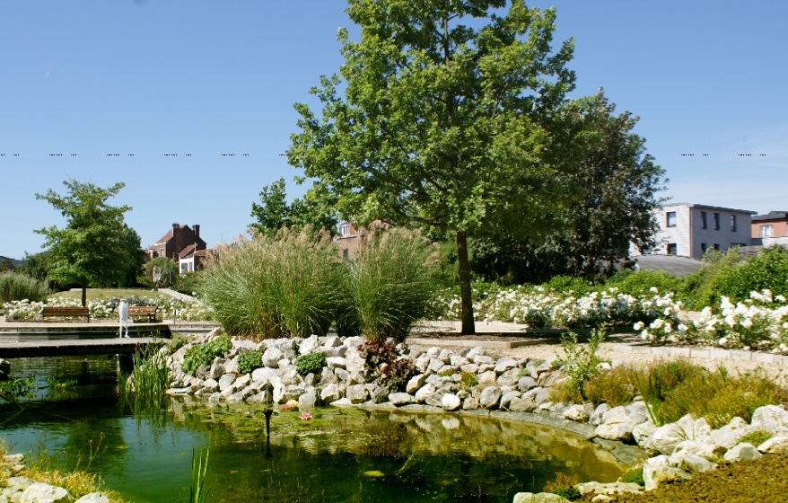 Een groene omgeving die uitnodigt tot reflectie en het delen van herinneringen.